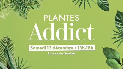 illustration de l'actualité : 